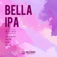 Пиво Bella IPA - 벨라 IPA