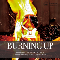 Пиво Burning Up - 버닝 업