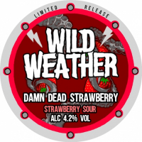 Пиво Damn Dead Strawberry