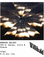 Пиво Broken Galaxy