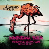 Пиво Dominicana Sour Пиво Dominicana Sour