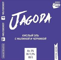 Пиво Jagoda Raspberry-blueberry
