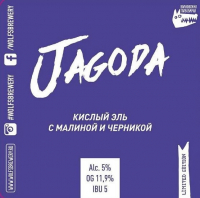 Пиво Jagoda / Кислый эль с малиной и черникой