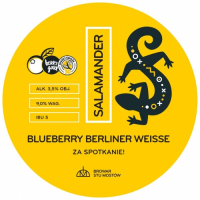 Пиво Salamander Berliner Weisse Blueberry Пиво Salamander Berliner Weisse Blueberry