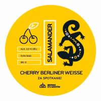 Пиво Salamander Berliner Weisse Cherry