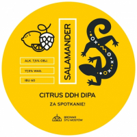 Пиво Salamander Citrus DDH DIPA Пиво Salamander Citrus DDH DIPA