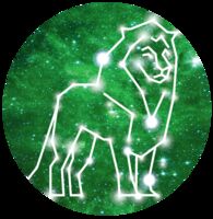 Пиво American Ipa