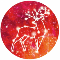 Пиво Coronilla & Mango Showdown