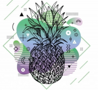 Пиво G.O.S.E. | Pineapple