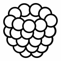 Пиво Raspberry Farm