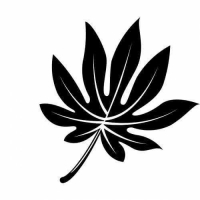 Пиво Tropical Treat: Lulo