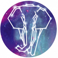 Пиво Завтрак Пиволюба // DMC Ed.