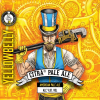 Пиво Citra Pale Ale