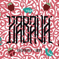 Пиво Raspberry & Mint Пиво Raspberry & Mint