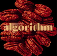 Пиво Algorithm Pecan Chocolate Pie 