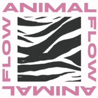 Пиво Animal Flow