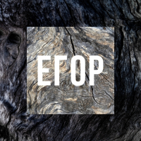 Пиво Egor: Complete - Whiskey BA