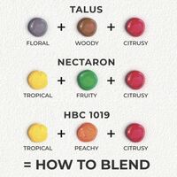 Пиво How To Blend