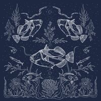 Пиво Humuhumunukunukuapua