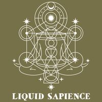 Пиво Liquid Sapience