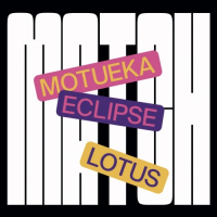Пиво Match: Motueka, Lotus, Eclipse