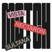 Пиво Match: Nectaron, Sultana, Vista