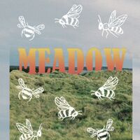 Пиво Meadow Пиво Meadow