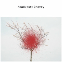 Пиво Meadwest: Cherry