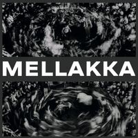 Пиво Mellakka