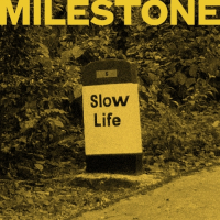 Пиво Milestone