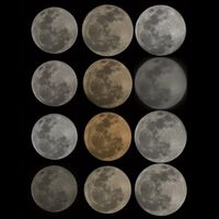 Пиво Moonshine Hops Пиво Moonshine Hops