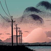 Пиво Murmuration