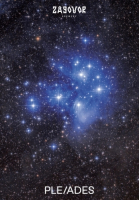 Пиво Pleiades