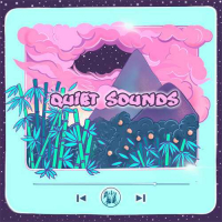 Пиво Quiet Sounds