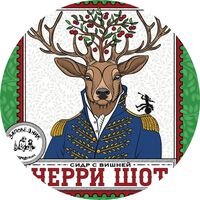 Пиво Черри Шот Lobotomy Edition