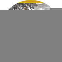 Пиво Вороночъ Pet Nat