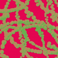 Пиво Are You Reddy