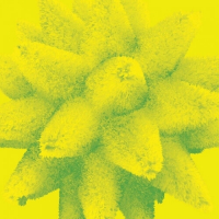 Пиво Banana Smoothie