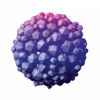 Пиво Baribal v1.0