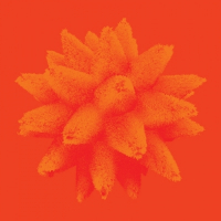 Пиво Buckthorn Blood