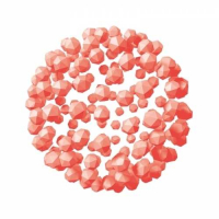 Пиво Chocolacto V 1.0 Пиво Chocolacto V 1.0