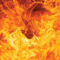 Пиво Dragon Tongue Пиво Dragon Tongue