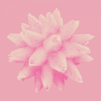 Пиво Guava Smoothie