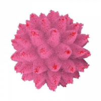 Пиво Nymphomango