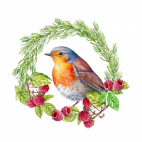 Пиво Robin Пиво Robin