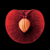 Пиво Ruby On Top