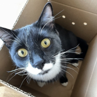 Пиво Schrödinger