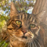 Пиво Summer Whine