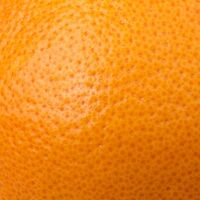 Пиво Tangerine Пиво Tangerine