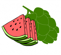 Пиво Hoppy Watermelon